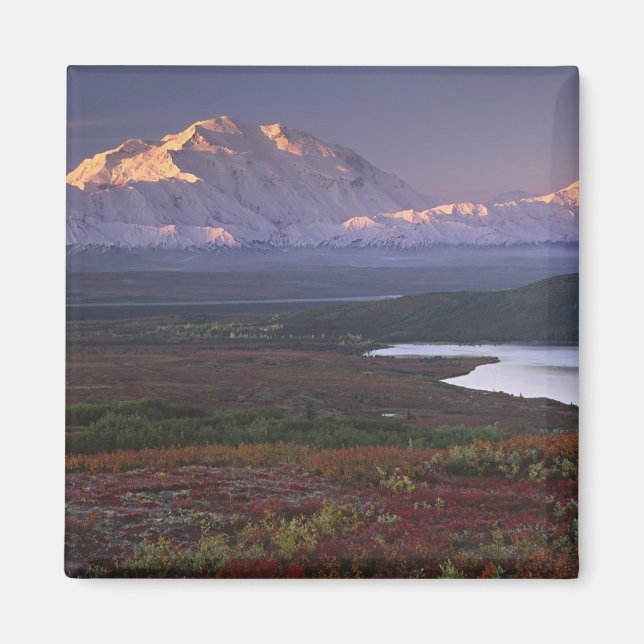 Aimant Prise début septembre dans le parc national de Den (Devant)