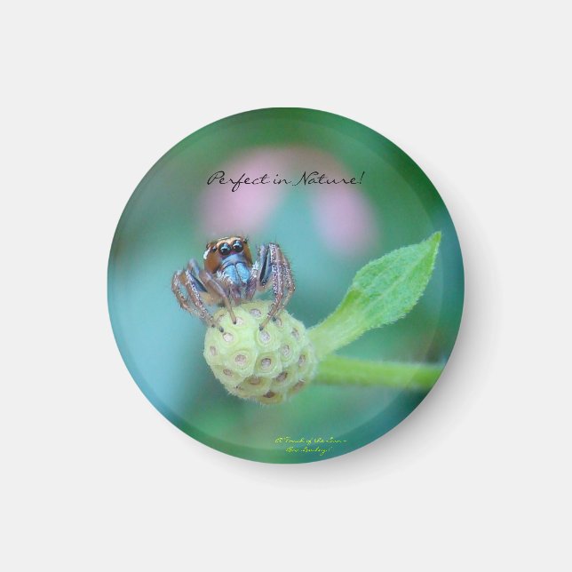 Aimant Prix Perfect in Nature (Devant)