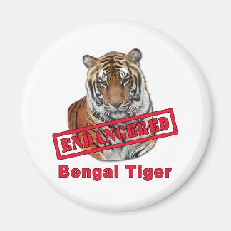 Aimant Produits tigres du Bengale en danger