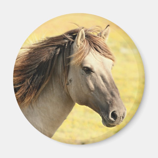 Aimant Profil du cheval beige (Devant)