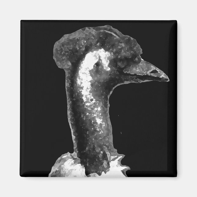 Aimant Profil Emu (Devant)