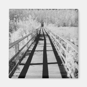 Aimant Promenade du Corkscrew Swamp Sanctuary, Floride,
