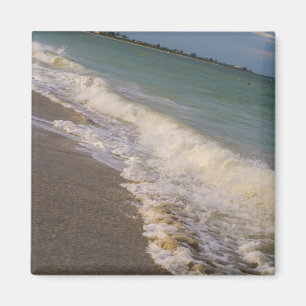 Aimant Promenade Le Long De La Plage St Pete