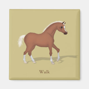 Aimant Promenade Sorrel Foal Gaits of the Horse