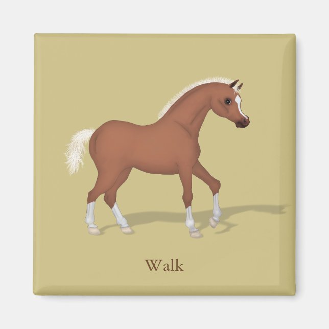 Aimant Promenade Sorrel Foal Gaits of the Horse (Devant)