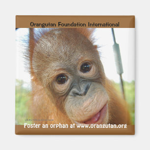 Aimant Promotion de printemps des animaux orphelins