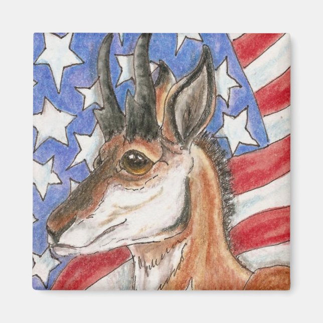 Aimant Pronghorn Antelope Americana Wildlife Art (Devant)