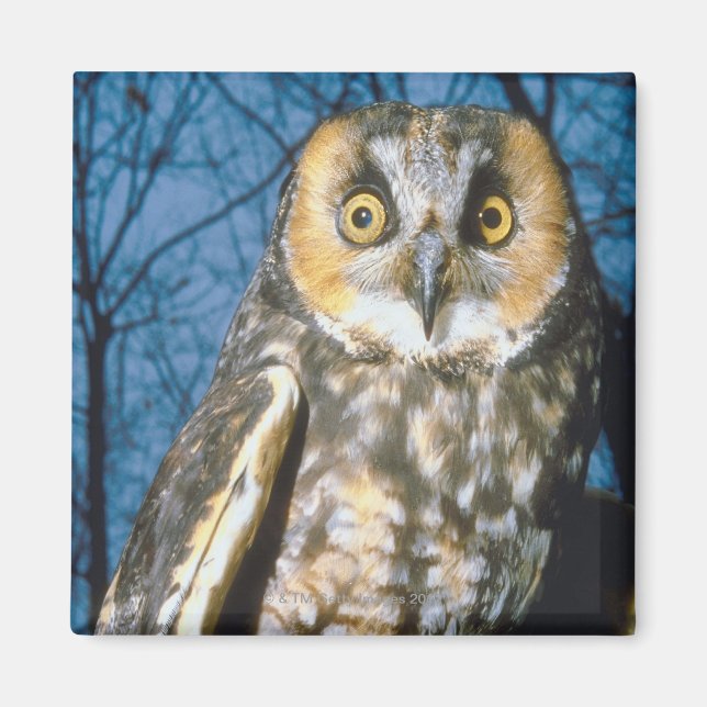 Aimant Propre (Devant)