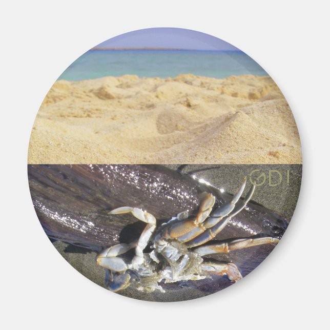 Aimant Propre ou sale ? GDI ! (Devant)