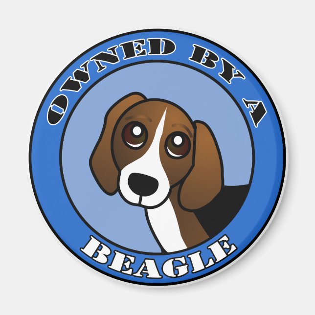 Aimant Propriété de A Beagle - Bleu (Devant)