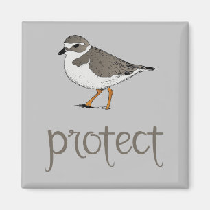 Aimant Protégez l'oiseau de pluvier sifflant
