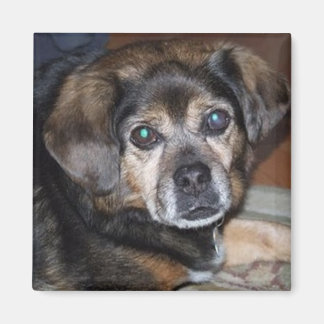 Aimant Publier l'aimant