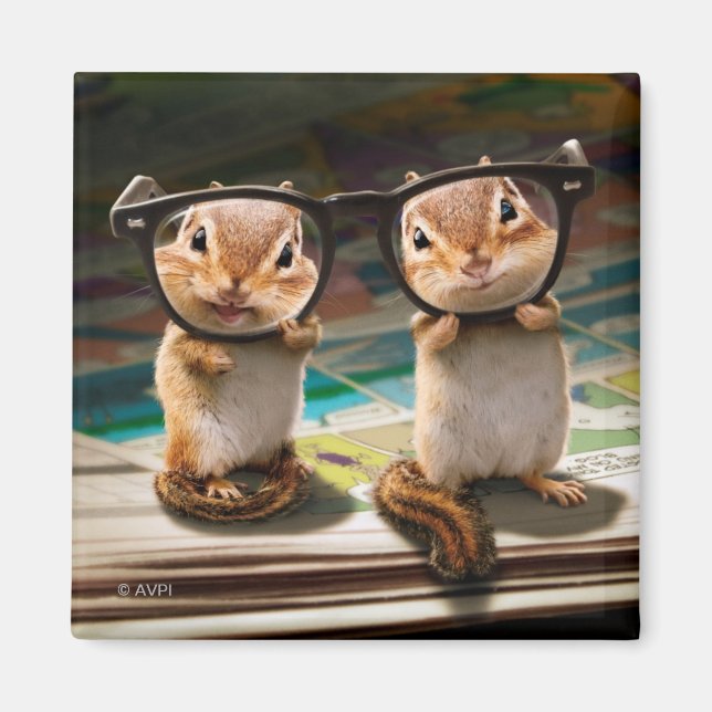 Aimant Puces dans les lunettes de lecture (Devant)