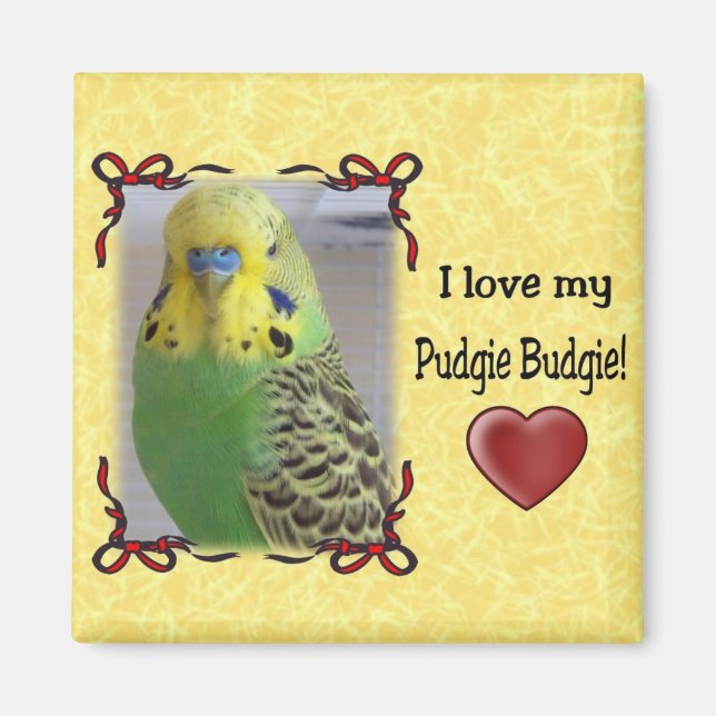 Aimant Pudgie Budgie 3 (Devant)
