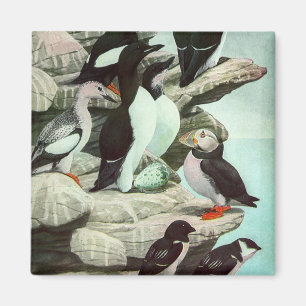 Aimant Puffins et oiseaux aquatiques d'époque par Louis F
