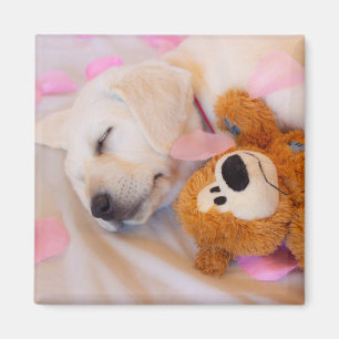 Aimant Puppy cuddles 02