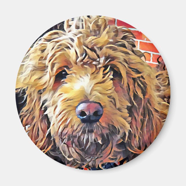 Aimant Puppy Goldendoolde (Devant)