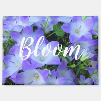 Aimant Purple Bellflowers Photograph