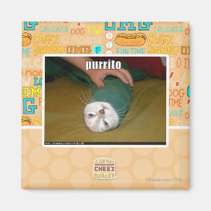 Aimant purrito