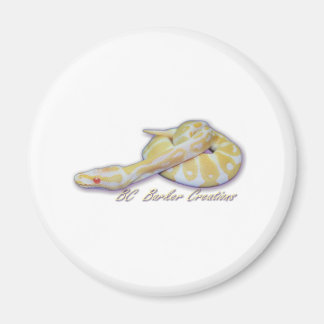 Aimant Python de boule à cliquet albinos