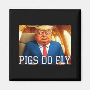 Aimant Qatar Un Lago Anti Trump Les Cochons D'Avion Du Qa