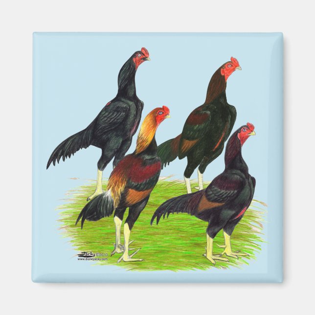 Aimant Quartet de jeu oriental Fowl (Devant)