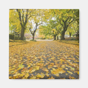 Aimant Quartier Est En Automne