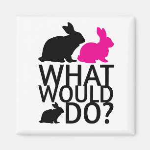 Aimant Que le lapin ferait-il ?