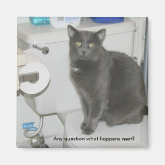 Aimant Quelle est la suite ?