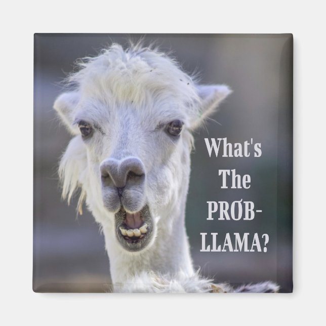 Aimant Qu'est-ce que le Prob-Llama ? Jote Drôle LLAMA (Devant)