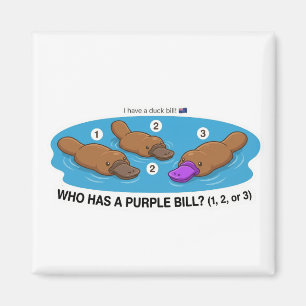 Aimant Qui a un bec violet? Joli Ornithorynque Australie 