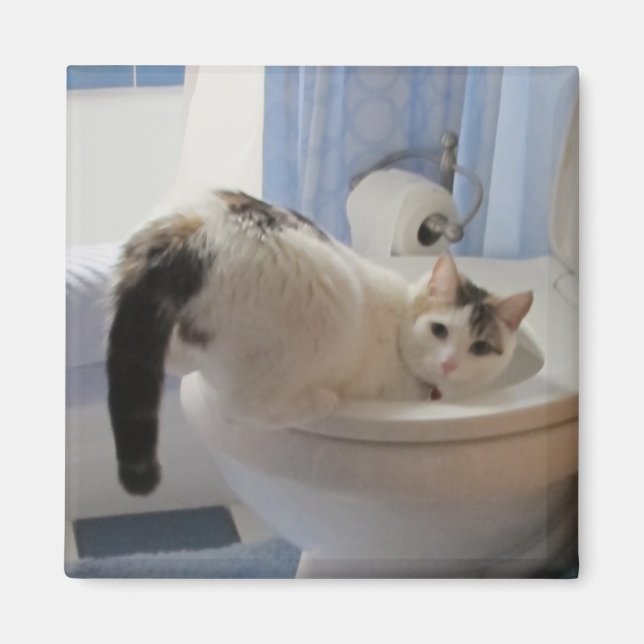 Aimant Qui ? Moi? (Devant)