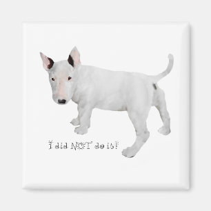 Aimant Qui, moi ? chiot Bull Terrier