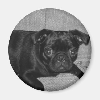 Aimant Quoi ? Je ne l'ai pas fait !