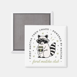 Aimant Raccoon boire matcha club drôle animal kawaii