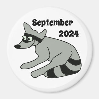 Aimant Raccoon, septembre 2024