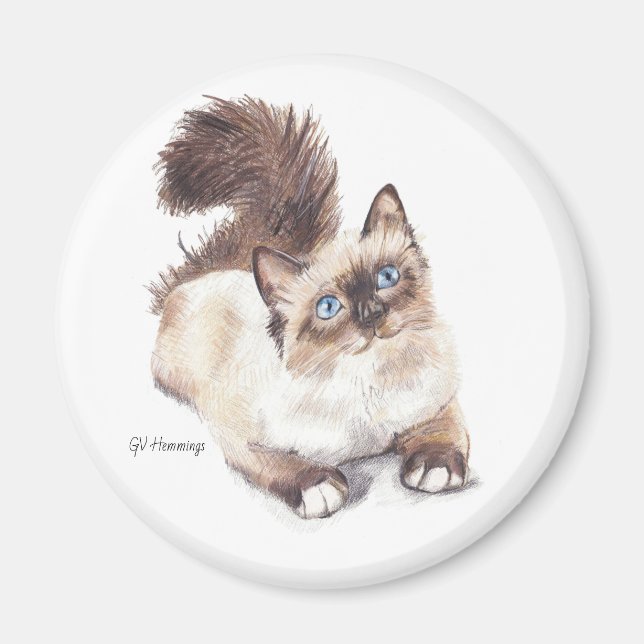 Aimant Ragdoll cat par Artist GV Hemmings (Devant)