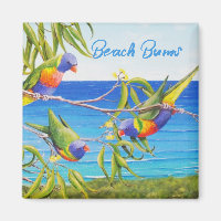 Rainbow Lorikeet Beachy Blue Art Australie