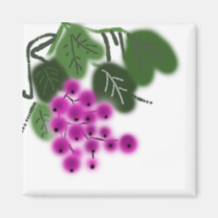 Aimant raisins pourpres et feuilles verts