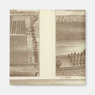 Aimant ranch de Lemoore