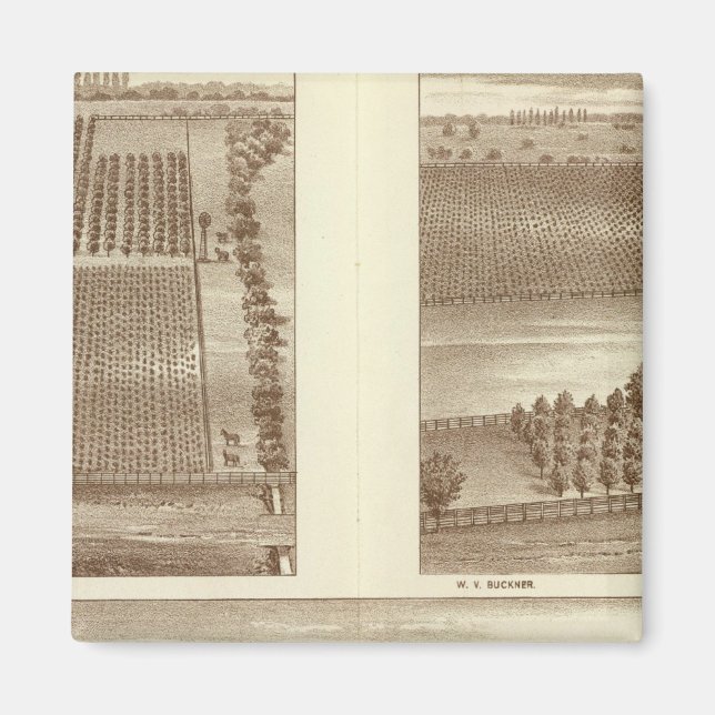 Aimant ranch de Lemoore (Devant)