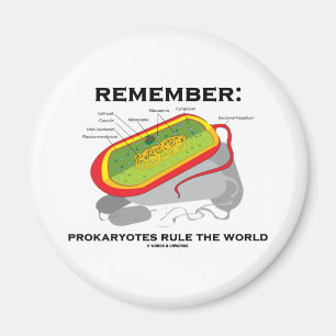 Aimant Rappelez-vous : Les Prokaryotes ordonnent le monde