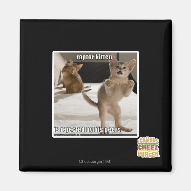 Aimant Raptor Kitten (Devant)