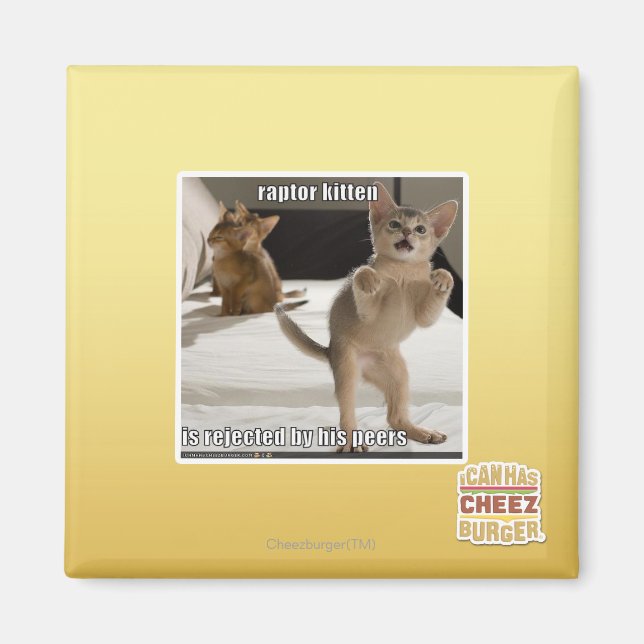 Aimant Raptor Kitten (Devant)