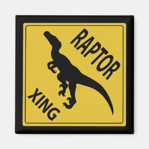 Aimant Raptor Xing