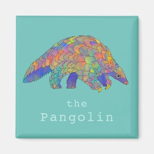 Aimant Rare fourmilier pangolin coloré 