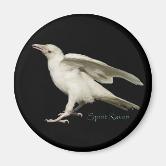 Aimant Rare White Raven Photo Spirit Raven II Series