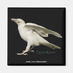Aimant Rare White Raven Photo Spirit Raven II Series
