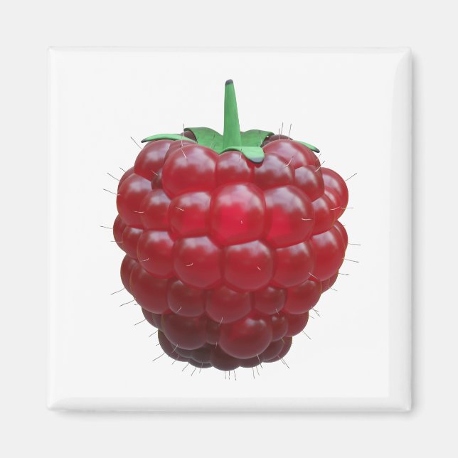 Aimant Raspiberry (Devant)