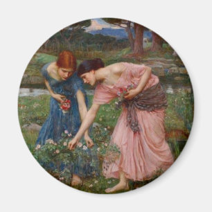 Aimant Rassembler Rosebuds